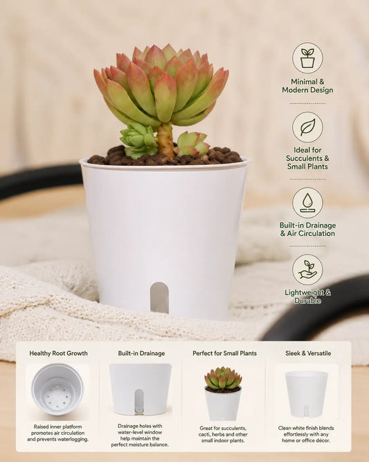 AquaView Self-Watering Planter