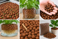 HydroGrow Expanded Clay Pellets (LECA)