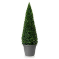 Green Cone