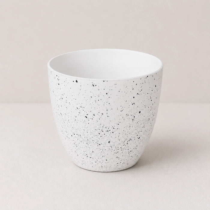 Ivory Mist Planter