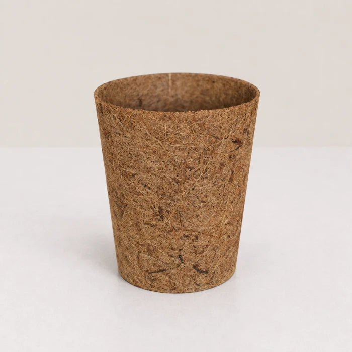 Coco Natural Planter