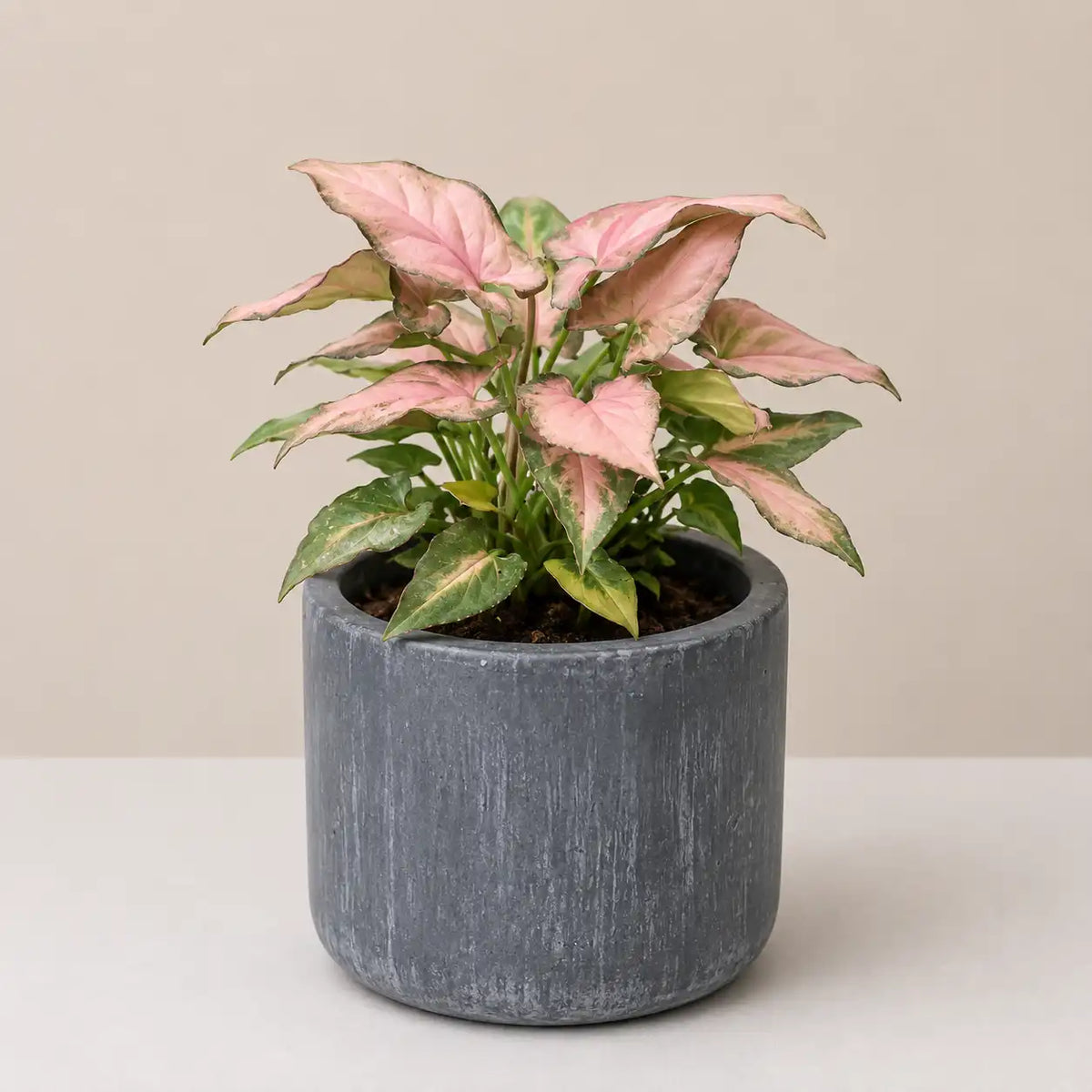 Luna Planter Cover