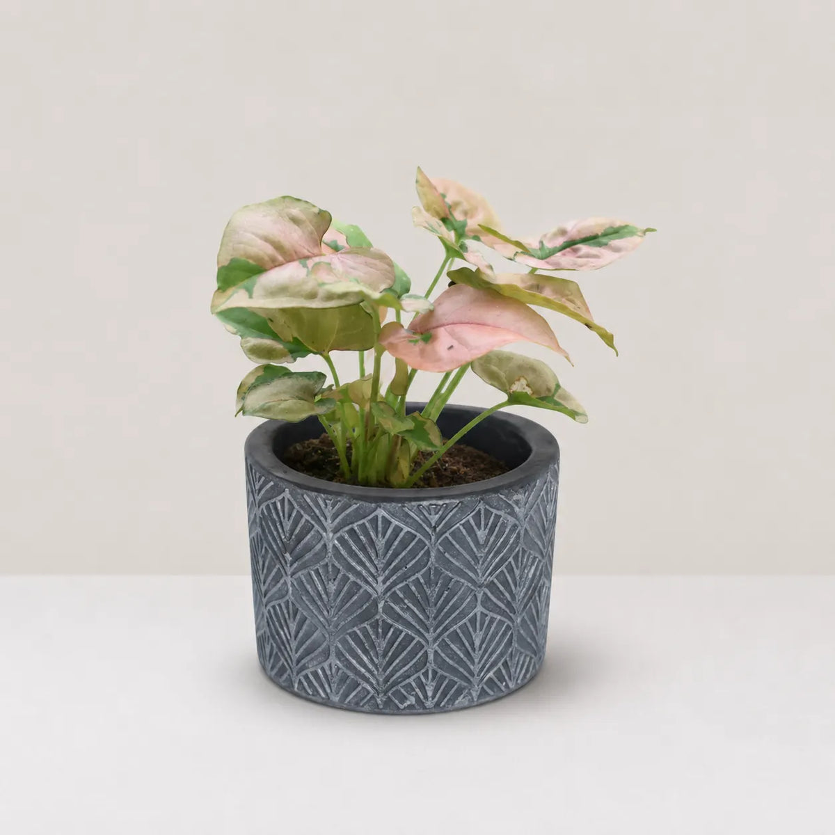 Mosaic Planter Cover