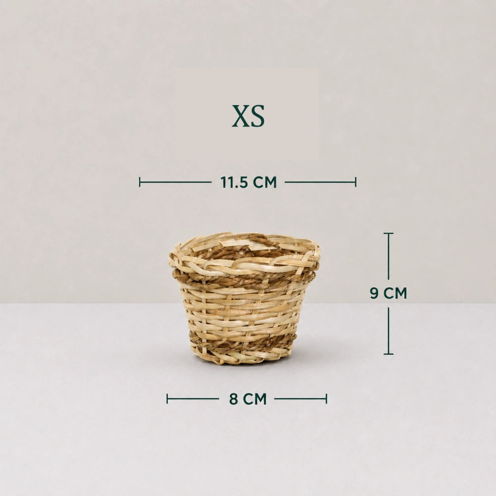 Rustic Charm Planter Cover