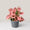 Neon Syngonium