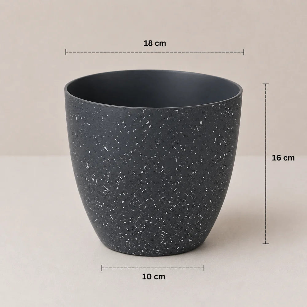 Obsidian Mist Planter
