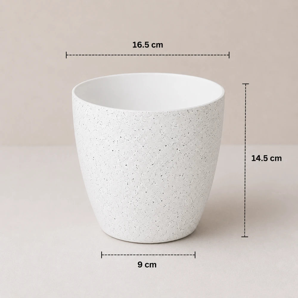 Alpine Mist Planter