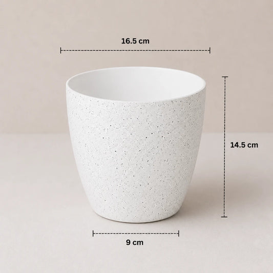 Alpine Mist Planter
