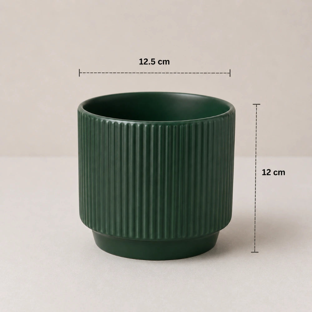Linea Grove Planter