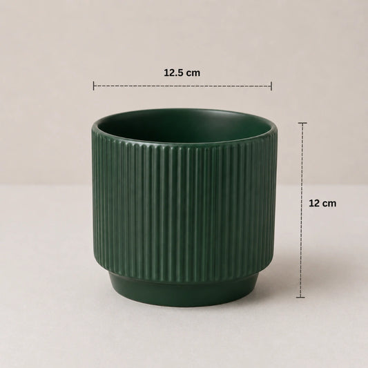 Linea Grove Planter
