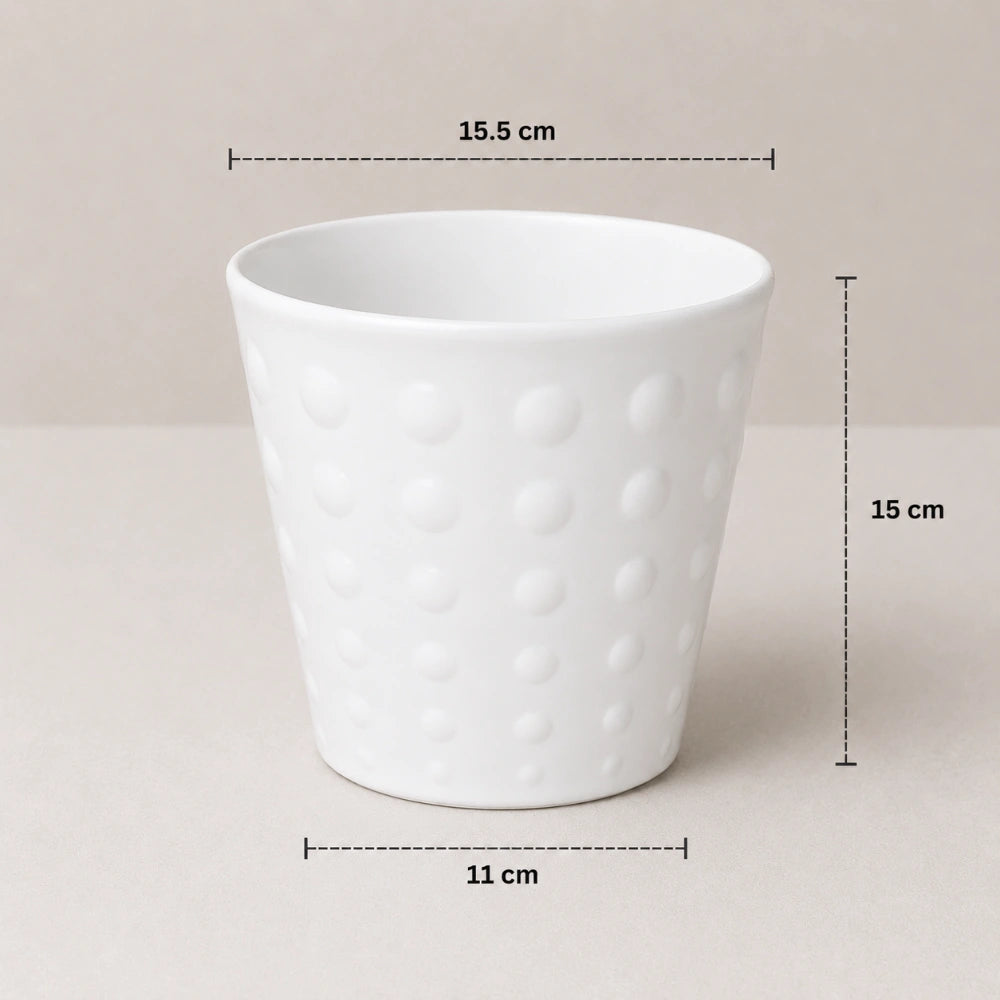 Ivory Dot Planter
