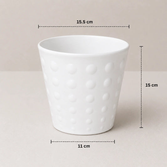 Ivory Dot Planter