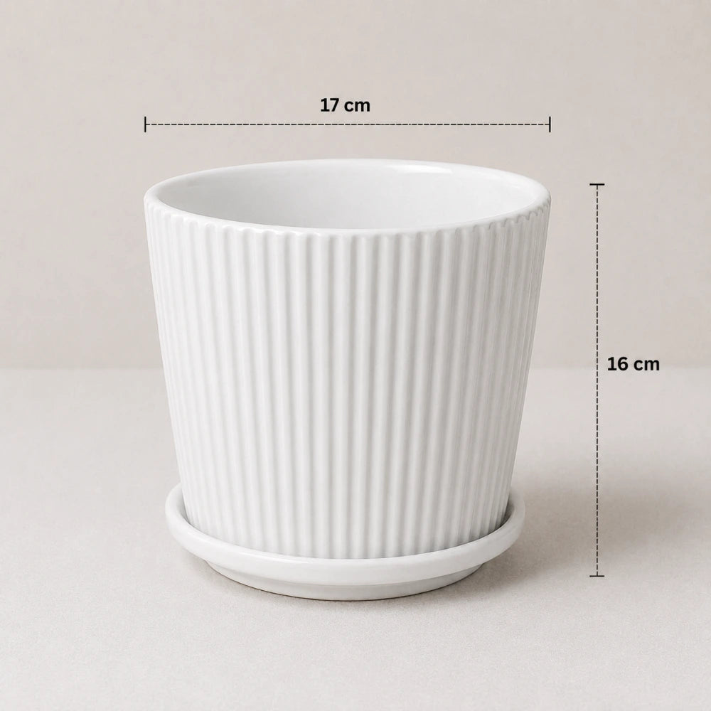 Linea Classic Planter
