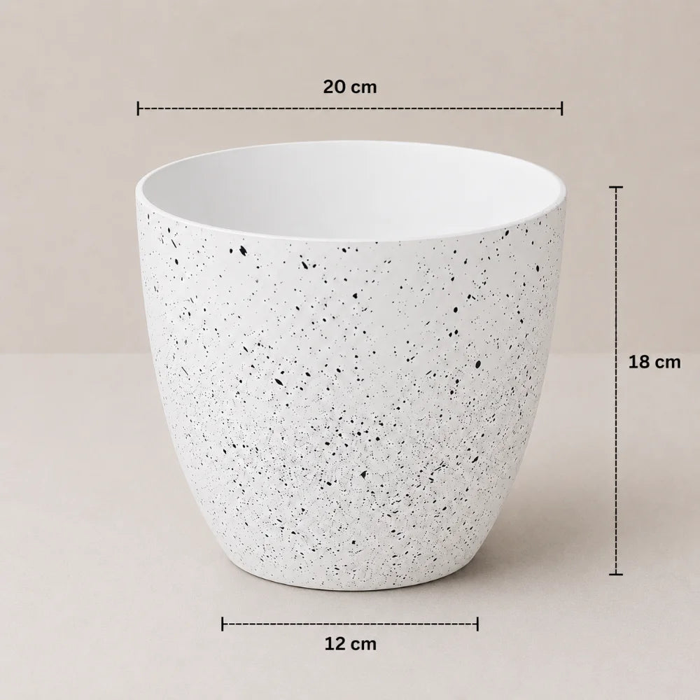 Ivory Mist Planter