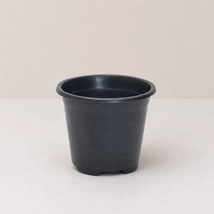 Basic Mini Planter