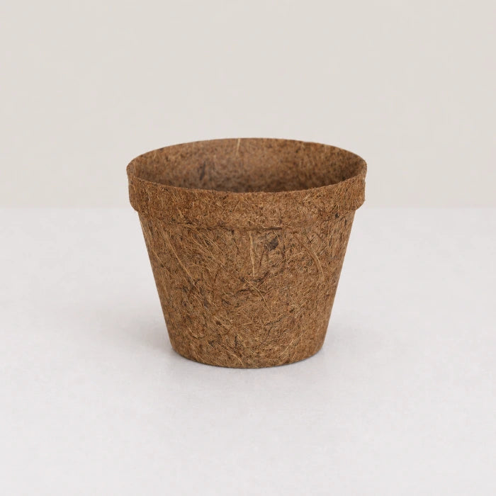 Coco Natural Planter